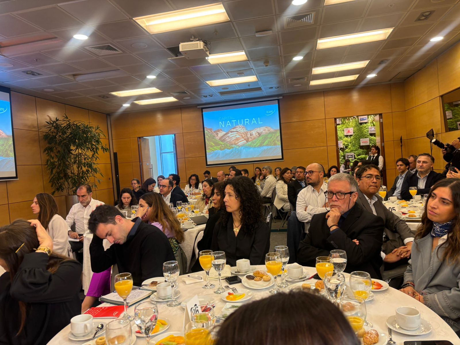 WhatsApp Image 2025-11-11 at 17.13.55 (1)