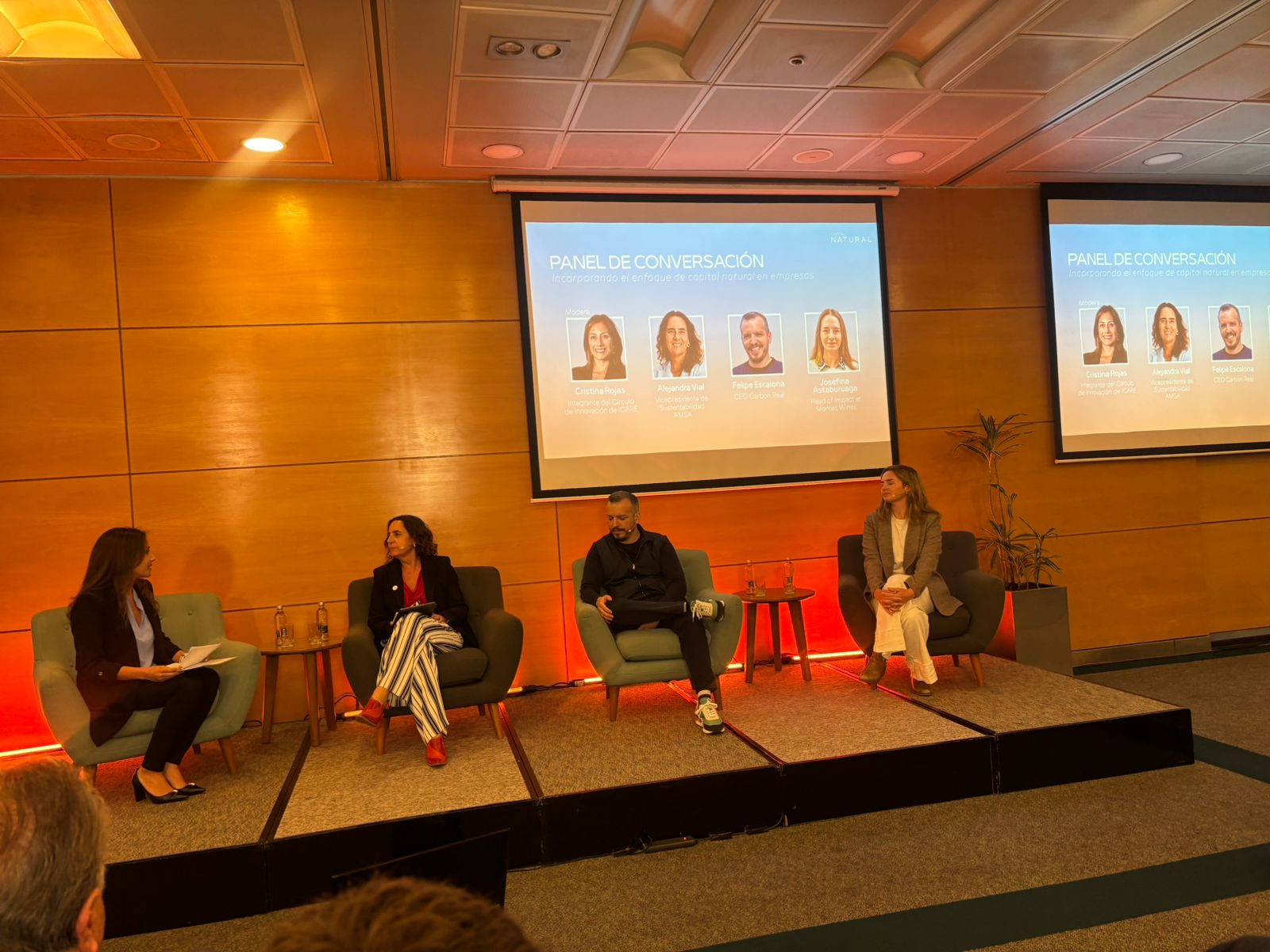 WhatsApp Image 2025-11-11 at 17.13.56